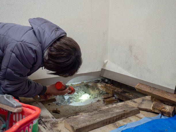 Best Airborne Mold Testing  in Wyoming, MN