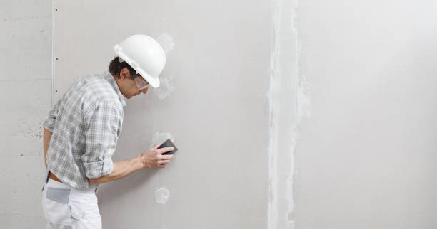 Best Black Mold Removal  in Wyoming, MN